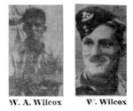 Soldier – Wilcox, William Alfred – Soldier Killed